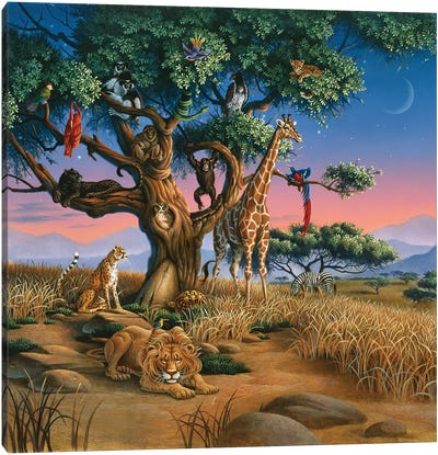 African Wildlife Canvas Art Print - Monkey Art