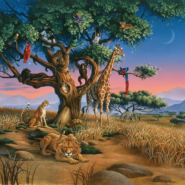 Primates: African Wildlife by Corbert Gauthier