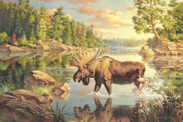 Deer: King Of The North by Corbert Gauthier