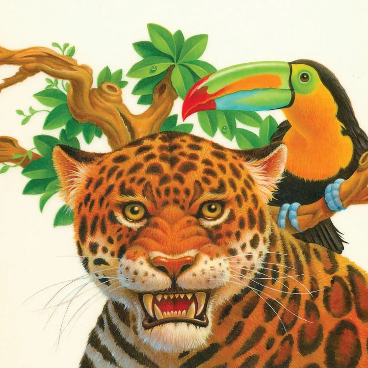 Leopard Toucan by Corbert Gauthier wall art