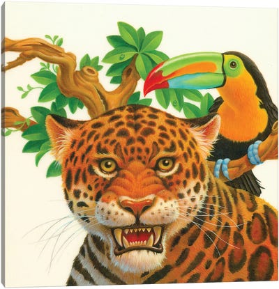 Leopard Toucan Canvas Art Print - Toucan Art