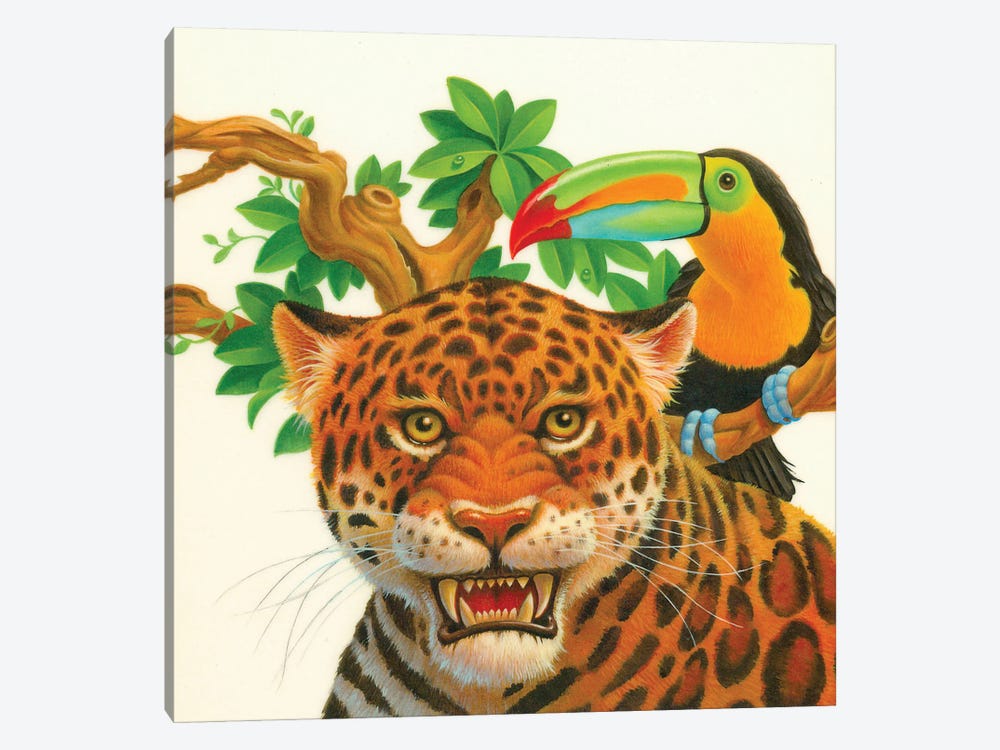 Leopard Toucan by Corbert Gauthier 1-piece Canvas Print