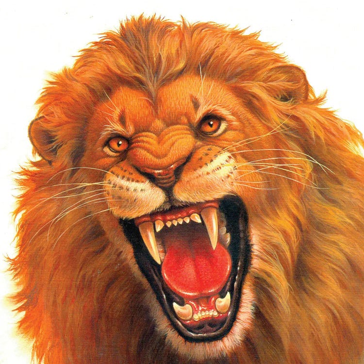 Angry Lion