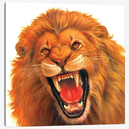 Angry Lion Canvas Print #CGT5} by Corbert Gauthier Canvas Wall Art