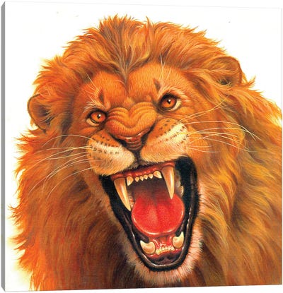 Angry Lion Canvas Art Print - Corbert Gauthier