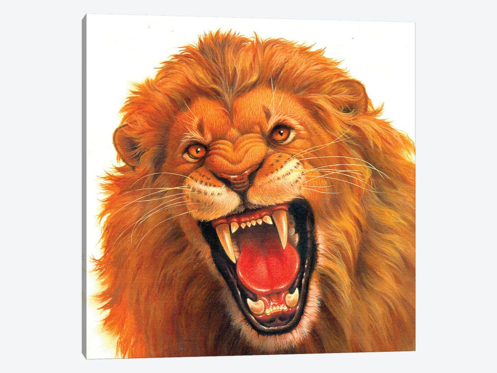 Angry Lion by Corbert Gauthier 1-piece Canvas Print