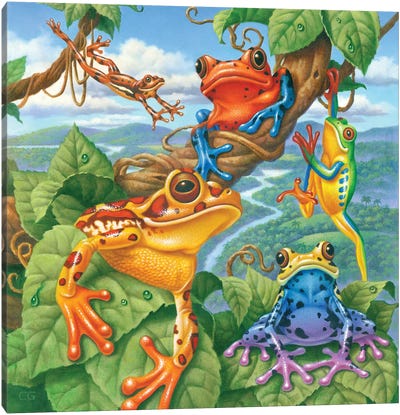 Tree Frogs Canvas Art Print - Frog Art
