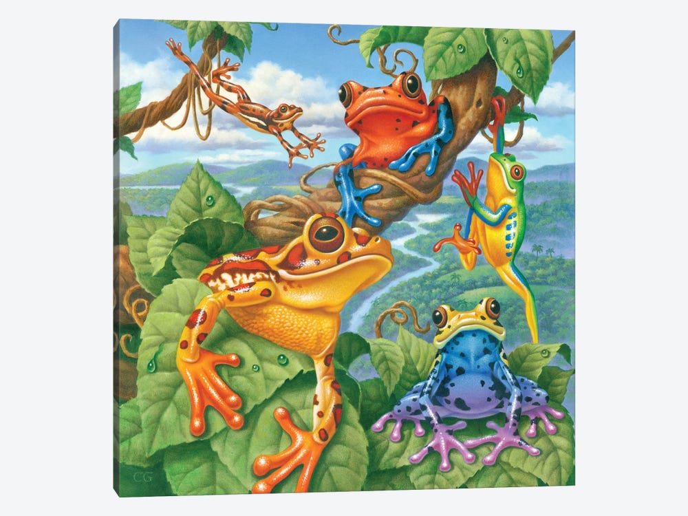 Tree Frogs by Corbert Gauthier 1-piece Canvas Art Print