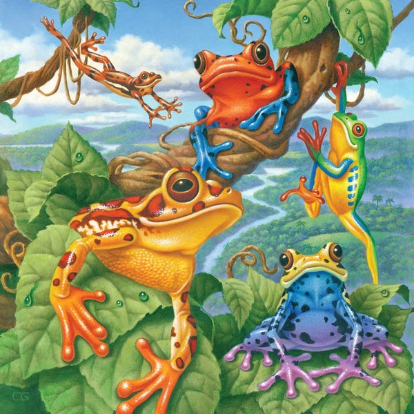 Frogs: Tree Frogs by Corbert Gauthier