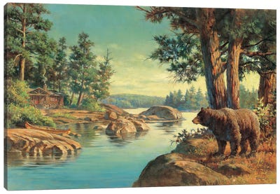 Black Bear Canvas Art Print - Cabins