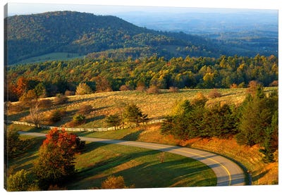 Mountain Landscape I, Blue Ridge Parkway, Patrick County, Virginia, USA Canvas Art Print - Virginia Art
