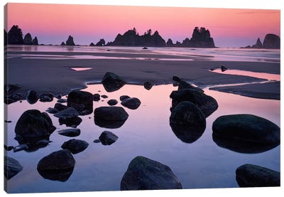Point Of Arches, Shi Shi Beach, Olympic National Forest, Washington, USA Canvas Art Print