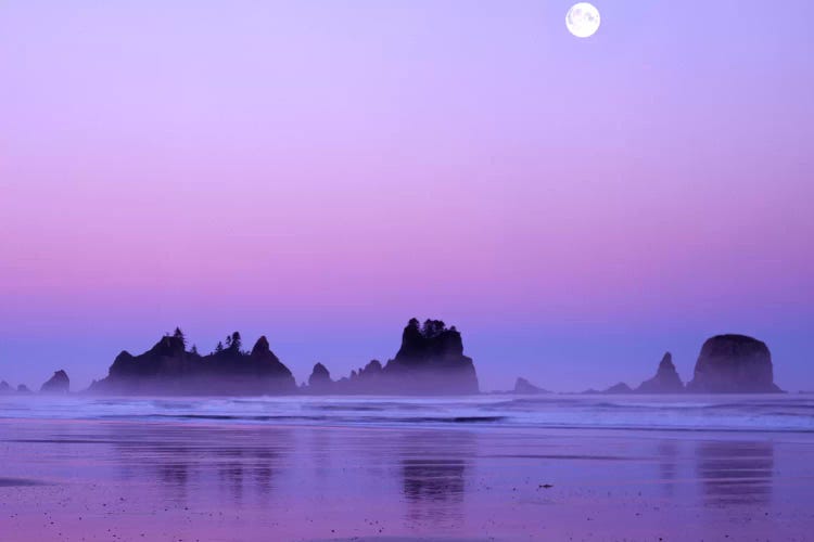 Magnificent Sunset With Full Moon, Point Of Arches, Shi Shi Beach, Olympic National Park, Washington, USA