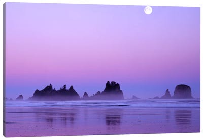 Magnificent Sunset With Full Moon, Point Of Arches, Shi Shi Beach, Olympic National Park, Washington, USA Canvas Art Print