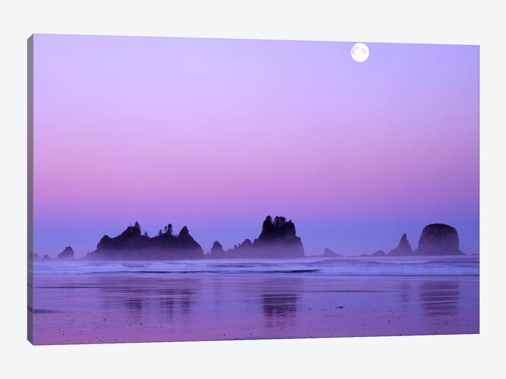 Magnificent Sunset With Full Moon, Point Of Arches, Shi Shi Beach, Olympic National Park, Washington, USA by Charles Gurche 1-piece Canvas Art
