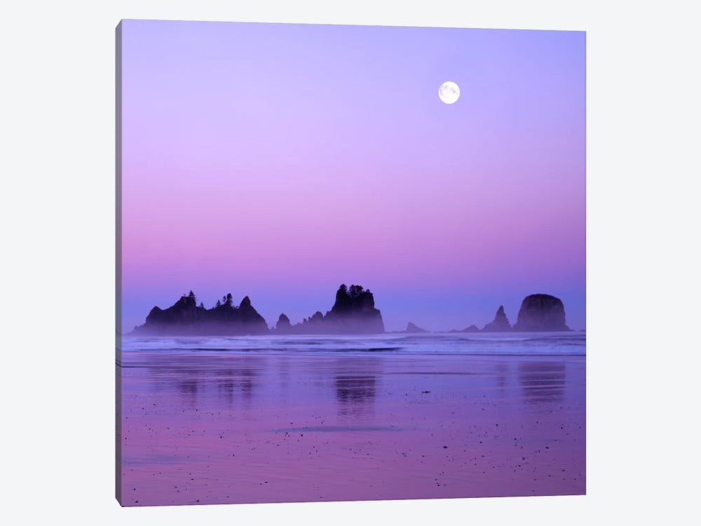 Full Moon At Sunset, Point Of Arches, Shi Shi Beach, Olympic National Park, Washington, USA by Charles Gurche 1-piece Canvas Print