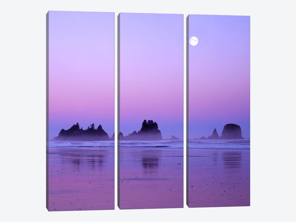 Full Moon At Sunset, Point Of Arches, Shi Shi Beach, Olympic National Park, Washington, USA by Charles Gurche 3-piece Canvas Art Print