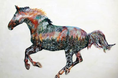 Cloudrunner by Carrie Goller art print