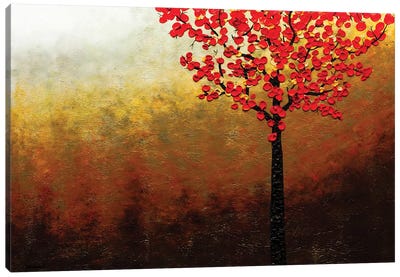 Top of the Hill Canvas Art Print - Carmen Guedez