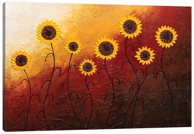 Sunflower Garden Canvas Art Print - Carmen Guedez