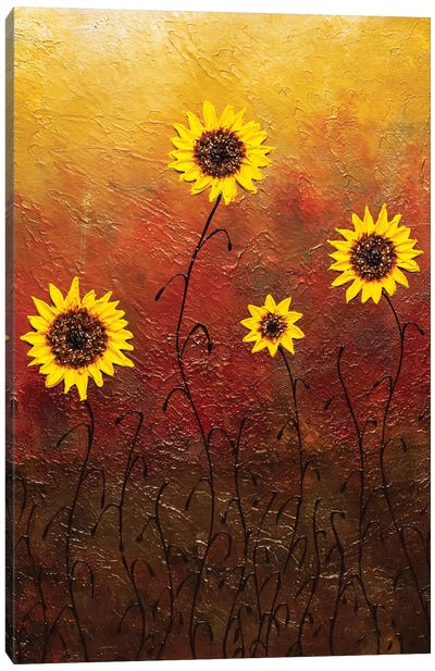 Sunflowers Canvas Art Print - Carmen Guedez