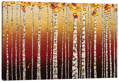 Birch Trees Canvas Art Print - Carmen Guedez