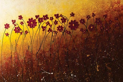 Fiori Di Campo by Carmen Guedez canvas print