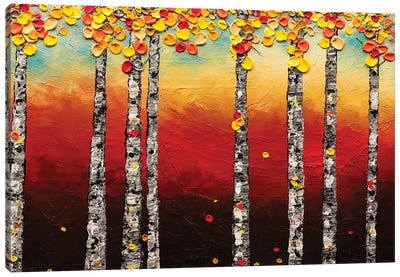 Autumn Birch Trees Canvas Art Print - Carmen Guedez