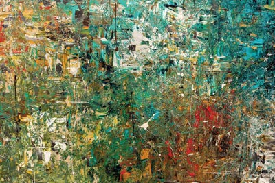 Discovery by Carmen Guedez canvas print