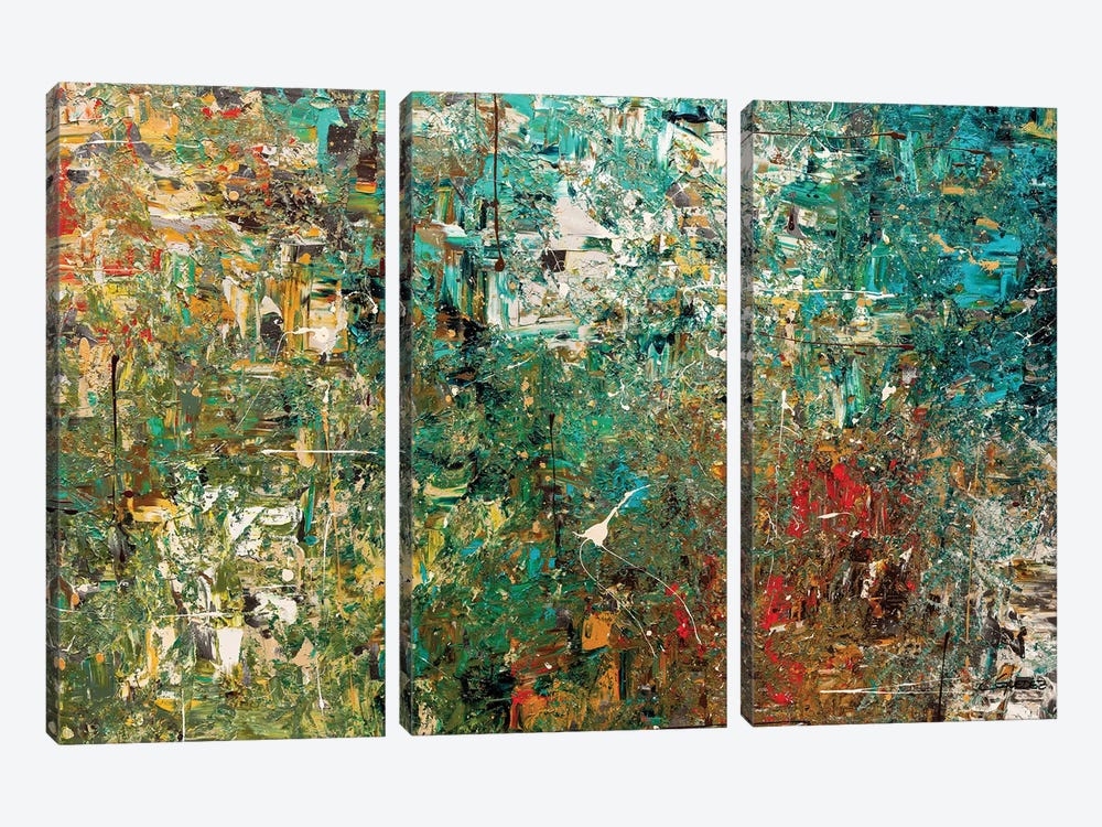 Discovery by Carmen Guedez 3-piece Canvas Artwork