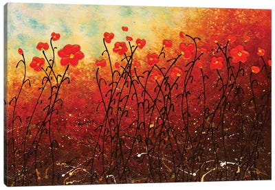 Blooming Flowers Canvas Art Print - Carmen Guedez