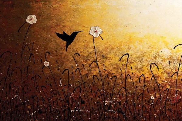 Carmen Guedez: The Flight of a Hummingbird by Carmen Guedez