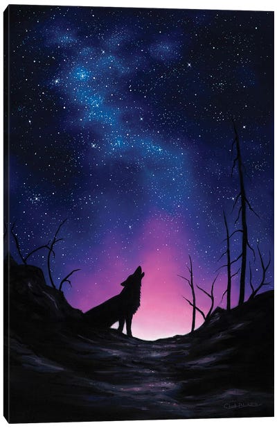 Starry Nights Canvas Art Print