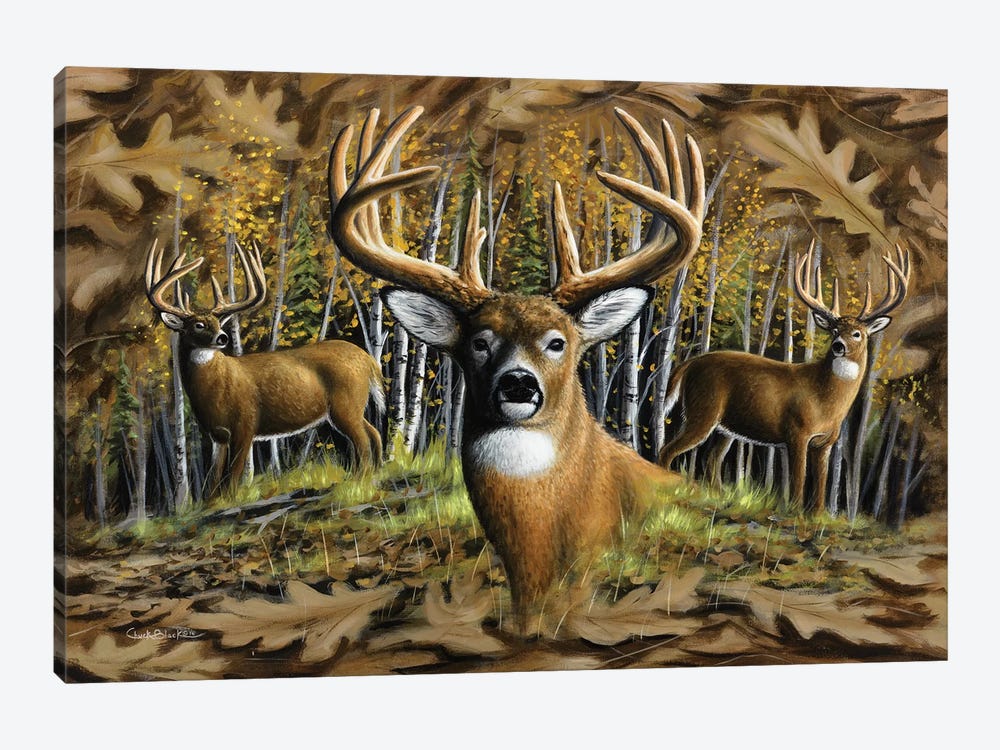 Whitetail Country 1-piece Canvas Artwork