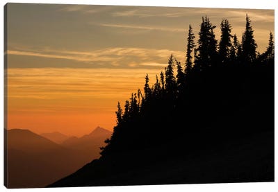 Olympic Alpine sunset Canvas Art Print