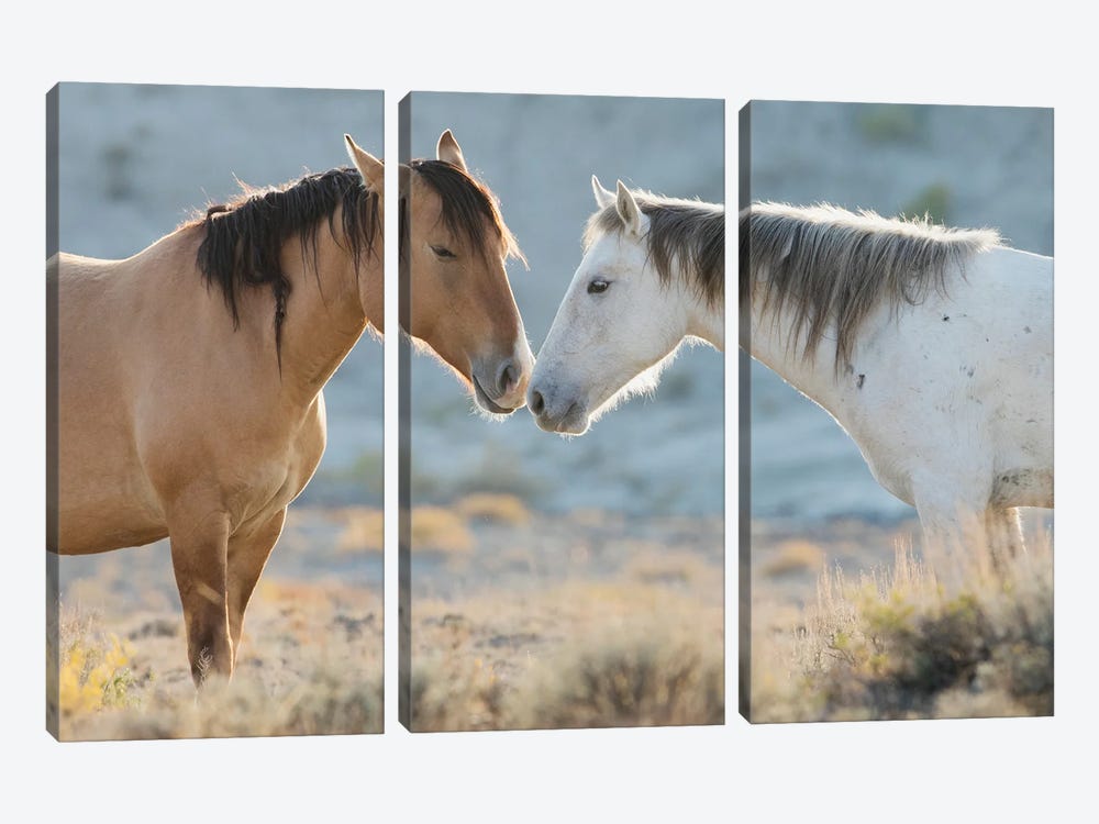 Nose To Nose Sand Wash Basin Wild Mustangs by Ken Archer 3-piece Canvas Art Print