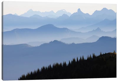 Foggy Mountain Landscape I, Cascade Range, Mount Rainier National Park, Washington, USA Canvas Art Print