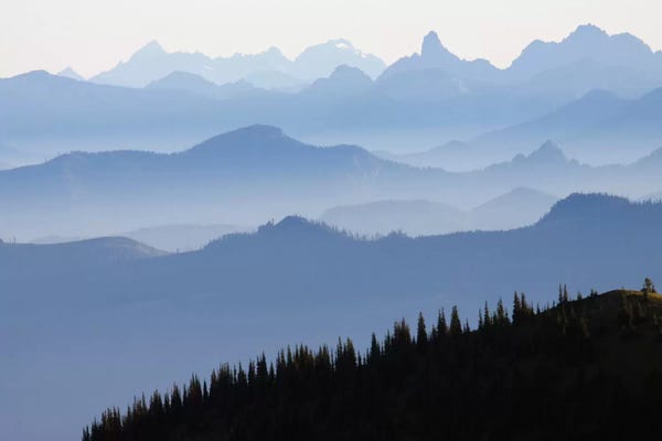 Cascade Range: Foggy Mountain Landscape I, Cascade Range, Mount Rainier National Park, Washington, USA by Ken Archer