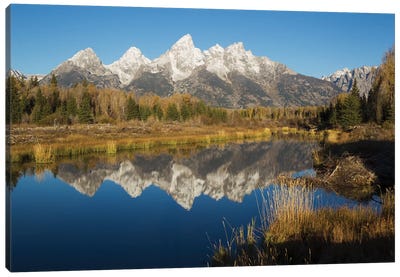 Grand Tetons Reflecting in Beaver Pond Canvas Art Print - Rocky Mountain Art