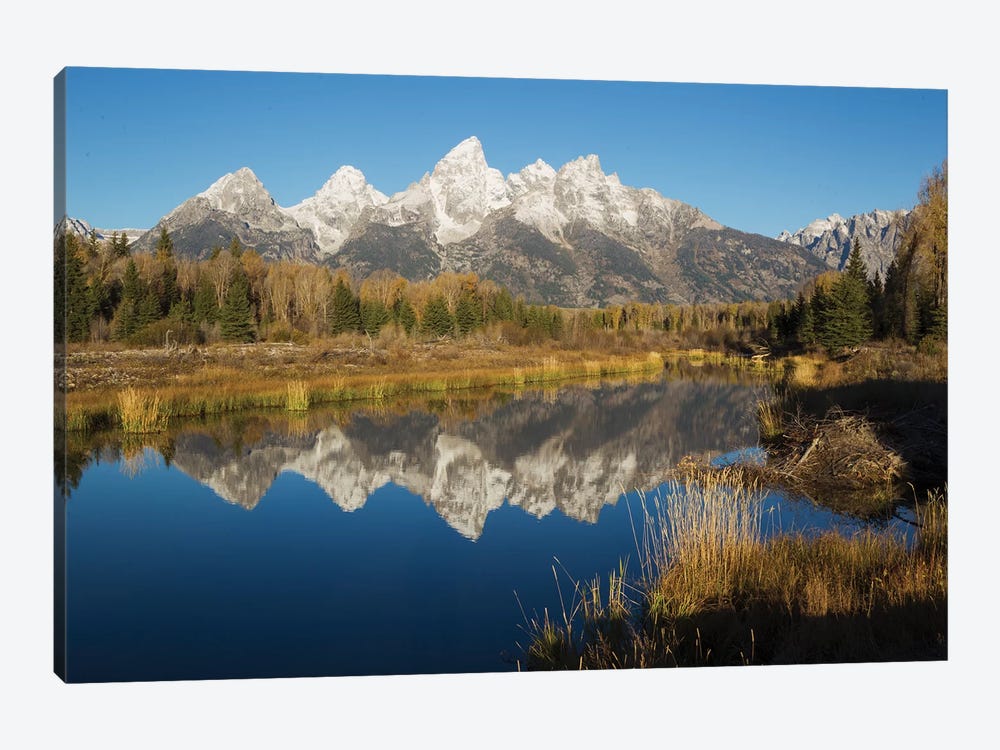 Grand Tetons Reflecting in Beaver Pond by Ken Archer 1-piece Canvas Art