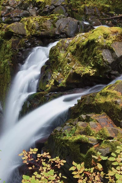 Ken Archer: Sol Duc Falls, Olympic National Park by Ken Archer