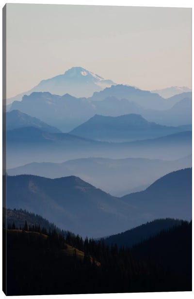 Foggy Mountain Landscape II, Cascade Range, Mount Rainier National Park, Washington, USA Canvas Art Print - Mountain Art - Stunning Mountain Wall Art & Artwork