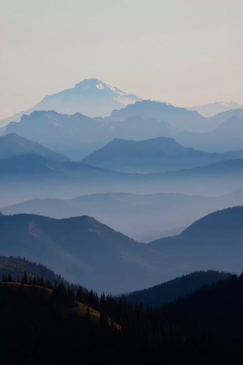 Foggy Mountain Landscape II, Cascade Range, Mount Rainier National Park, Washington, USA