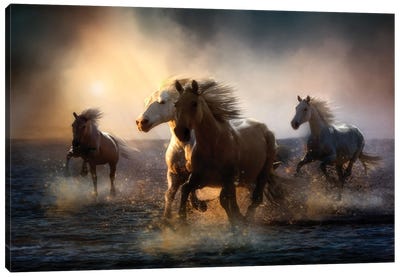 But You Can Never Take Away My Freedom... Canvas Art Print