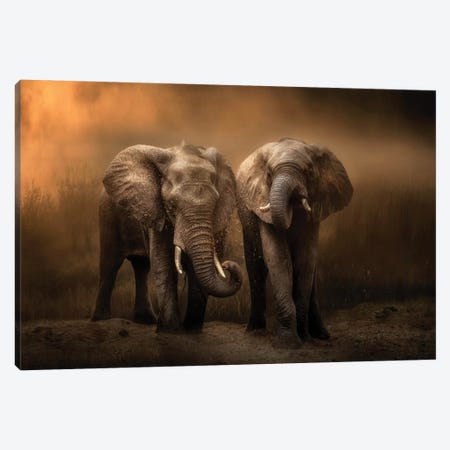 Elephants Dust Bath... Canvas Print #CHG6} by Charlaine Gerber Canvas Art Print