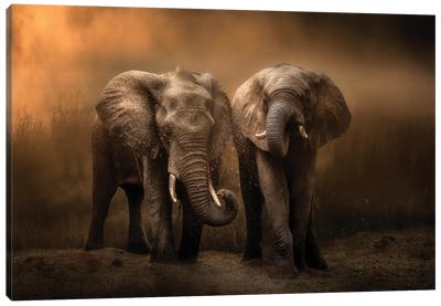 Elephants Dust Bath... Canvas Art Print - Elephant Art