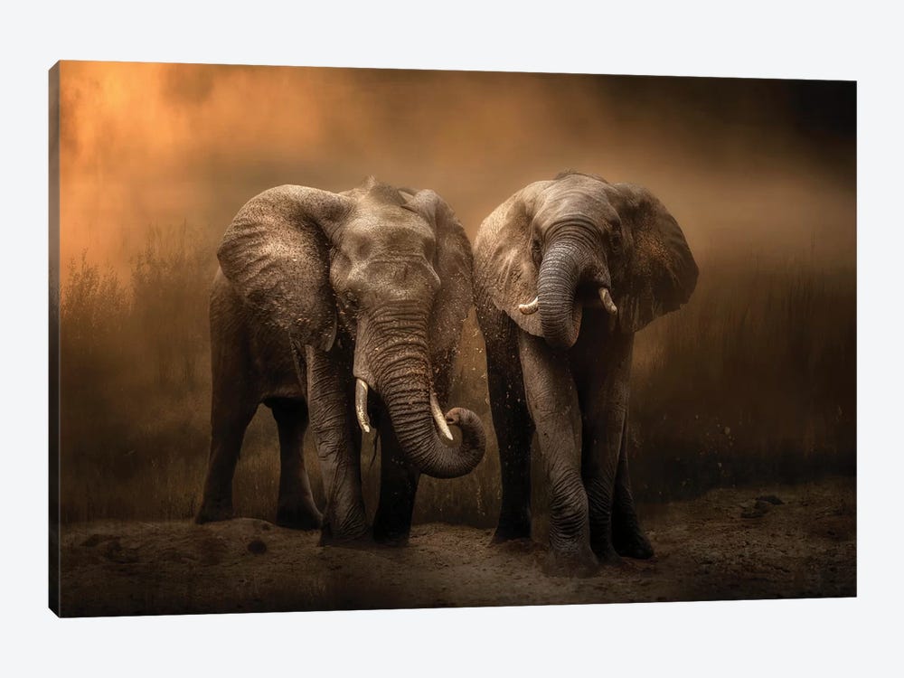 Elephants Dust Bath... by Charlaine Gerber 1-piece Canvas Print