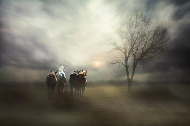 For Tomorrow May Rain, So We'Ll Follow The Sun... by Charlaine Gerber wall art