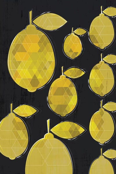 Chhaya Shrader: Lemons by Chhaya Shrader