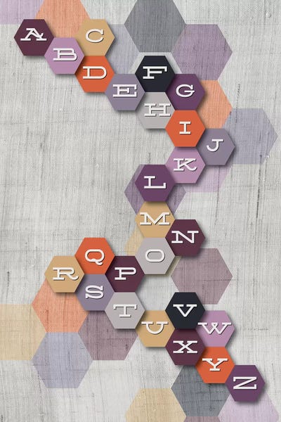 Chhaya Shrader: ABC by Chhaya Shrader